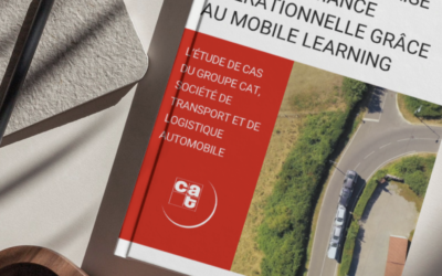 Landing page type – use case Group CAT