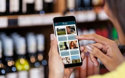 OenoBordeaux: an app to promote Bordeaux wines around the world