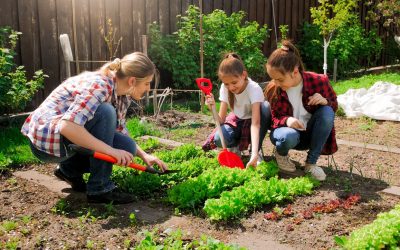 De l’écologie de la formation… à la formation écologique !